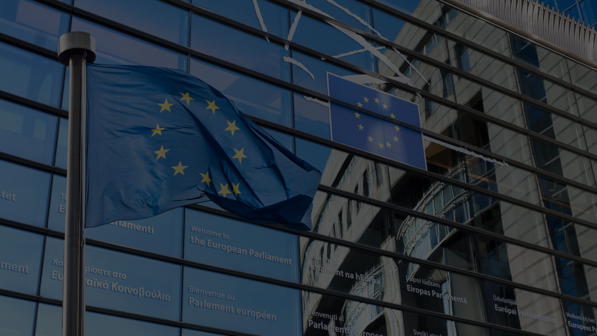 EU banner wijk