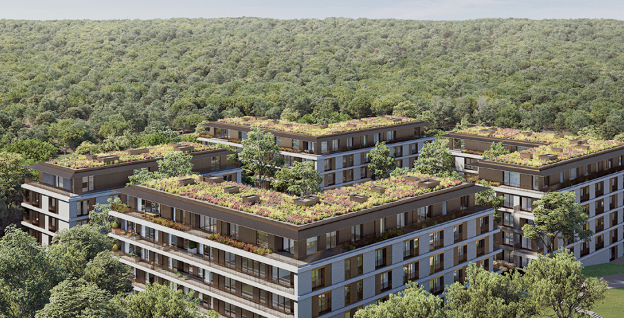 Project royal belge video